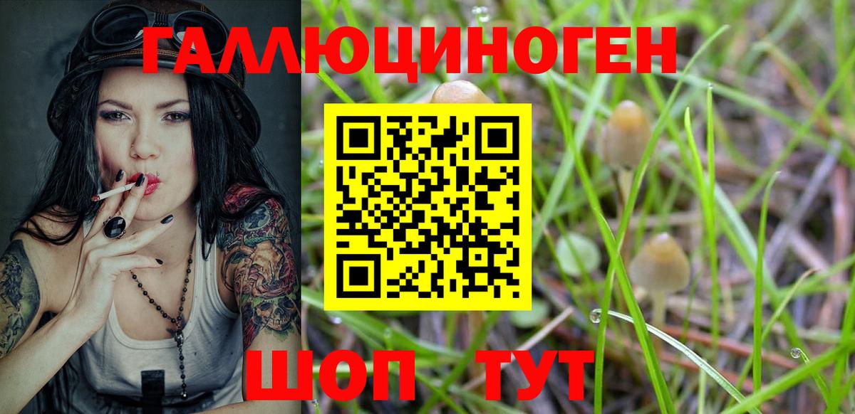 Галлюциногенные грибы Cubensis Холмск